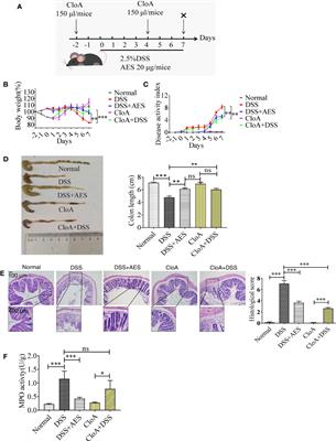 Excretory/Secretory Products From Trichinella spiralis Adult Worms Attenuated DSS-Induced Colitis in Mice by Driving PD-1-Mediated M2 Macrophage Polarization